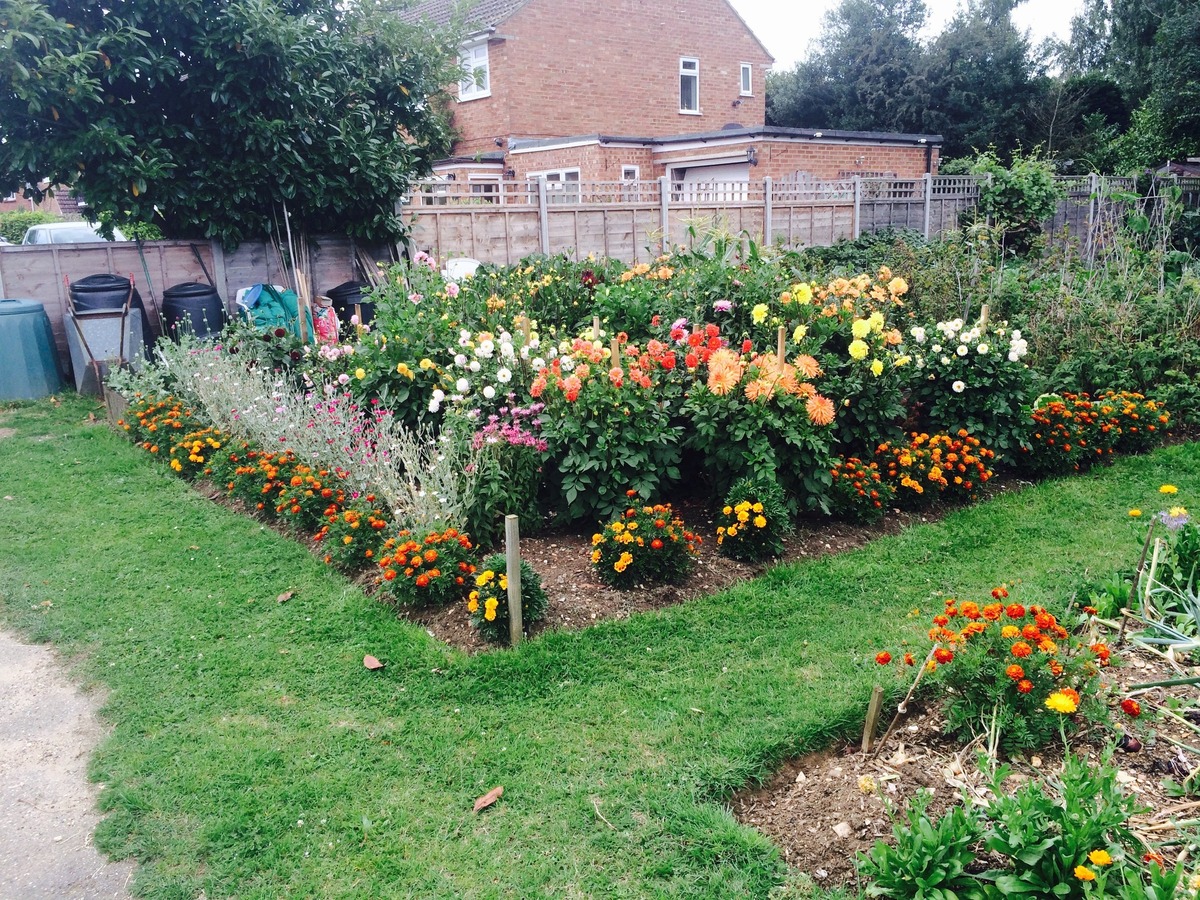 Allotment 